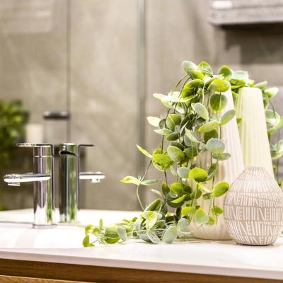 The Science of Scent: Fragrances to Uplift Every Room