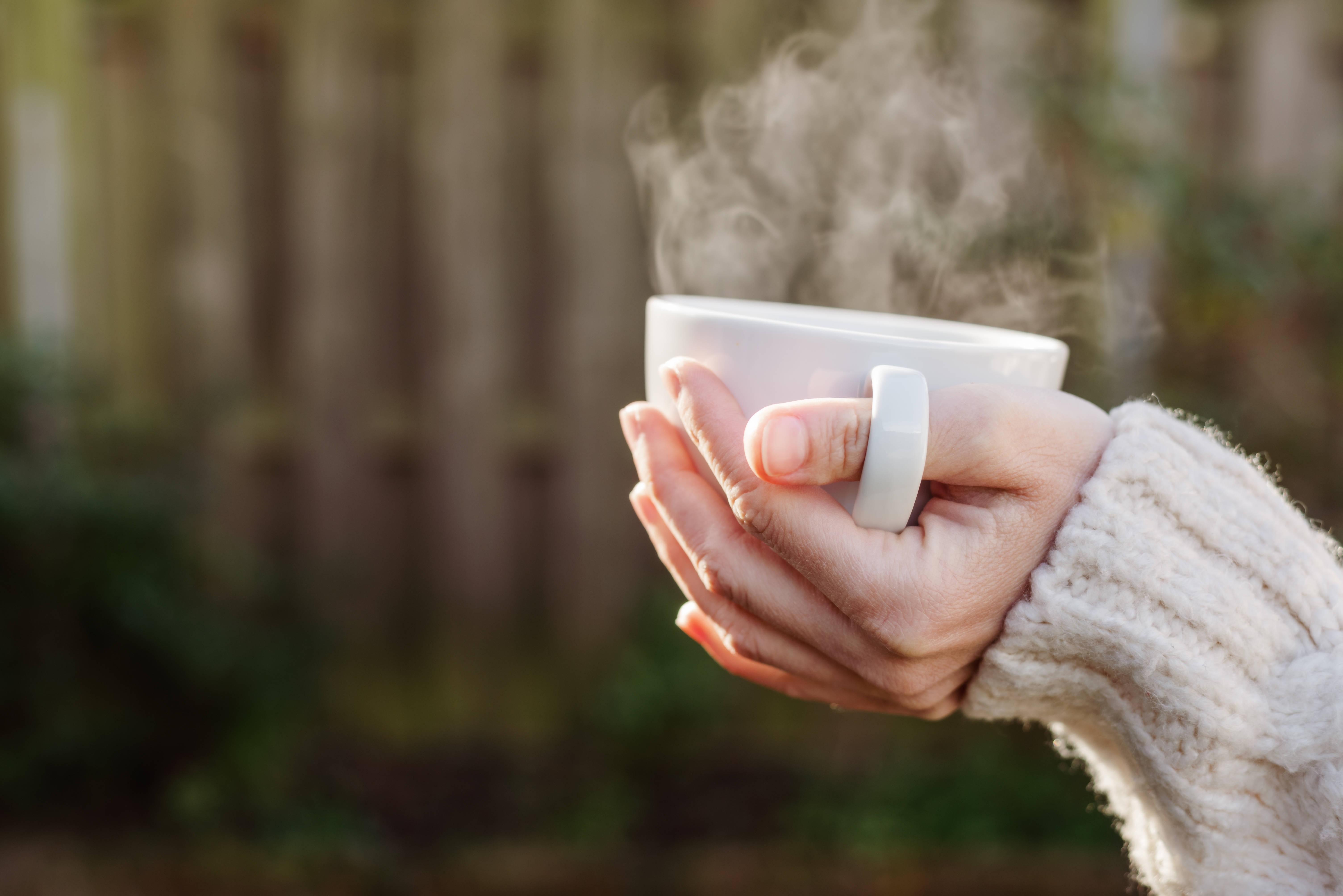 female-hand-holding-out-a-hot-cup-of-tea-2025-01-09-06-11-17-utc