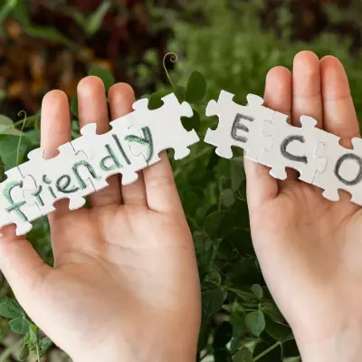 Eco-Friendly Living: Small Changes, Big Impact