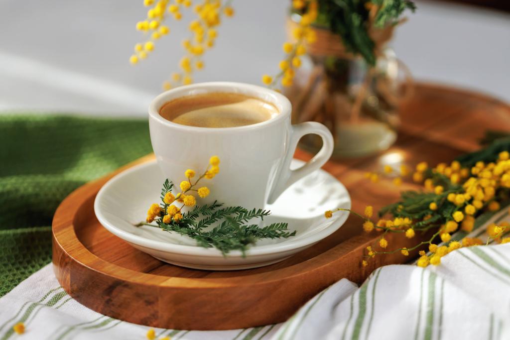 Solo But Social: How to Enjoy Time Alone Without Feeling Lonely