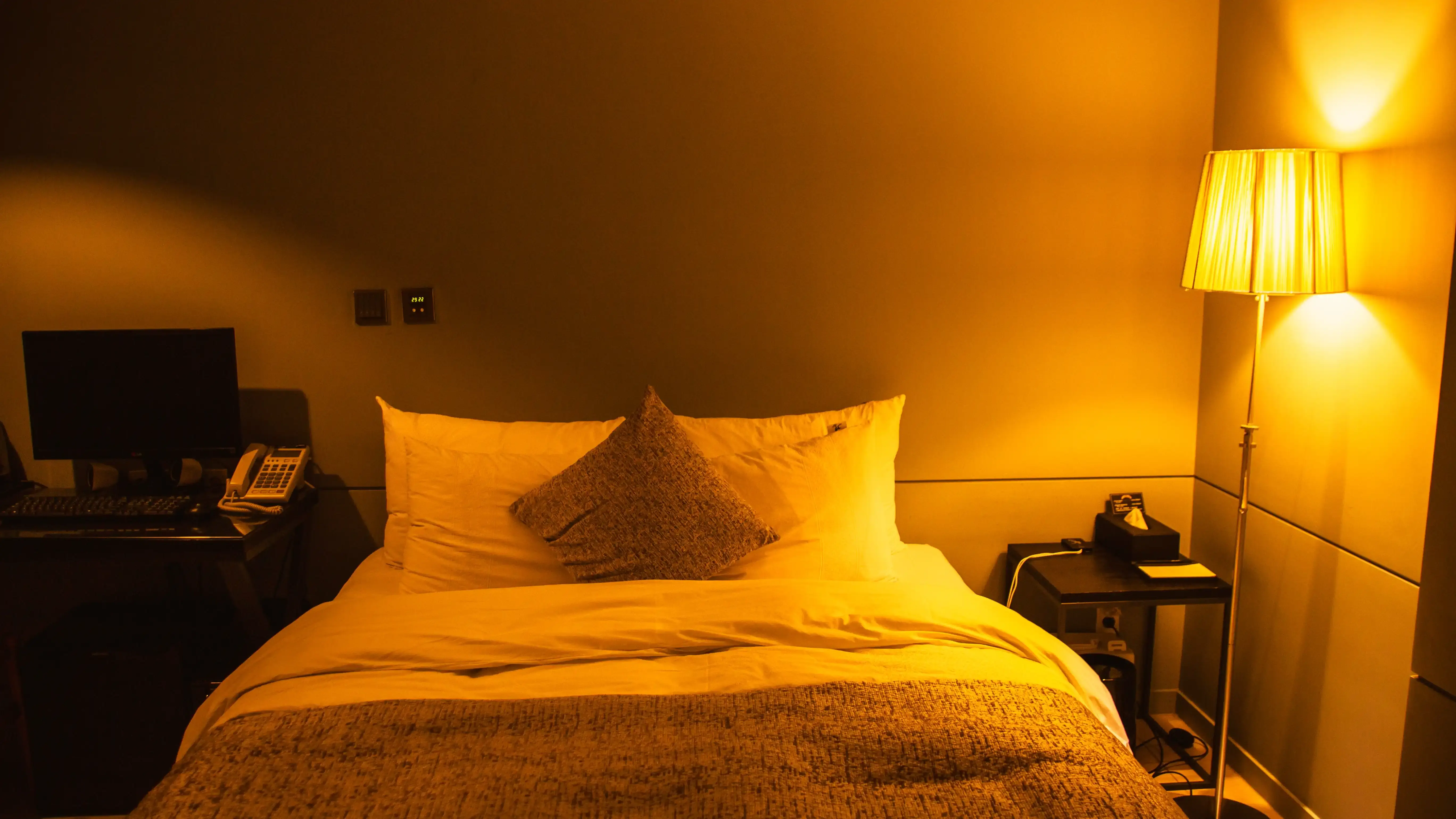 sweet-room-2025-03-09-11-49-27-utc